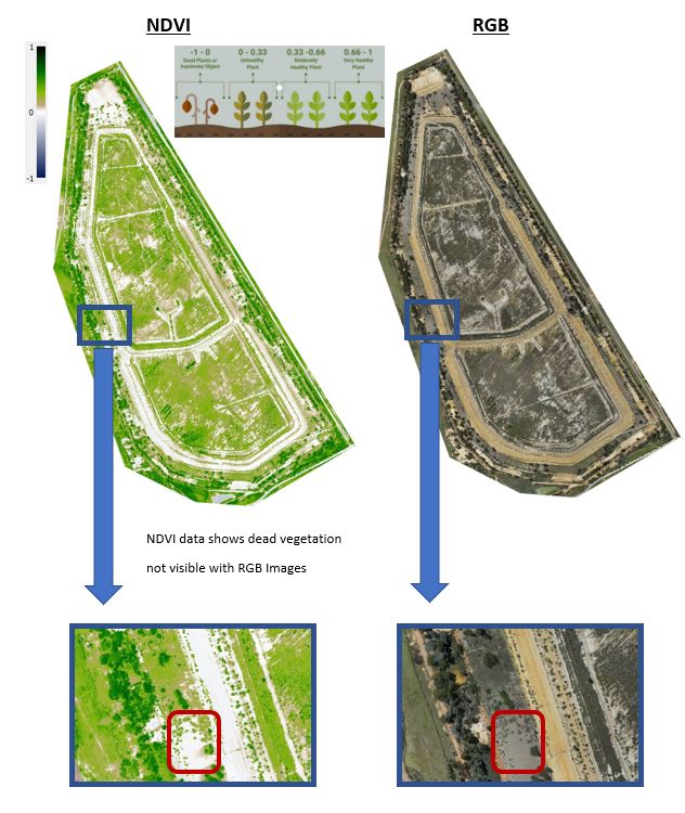 WhatsApp Image 2022-03-21 at 9.50.57 PM